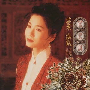 德国dsm针刺视频
