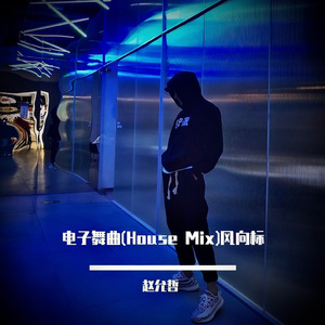 德国dsm针刺视频
