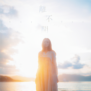 德国dsm针刺视频
