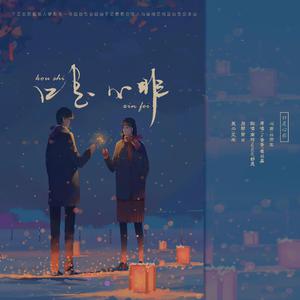 德国dsm针刺视频
