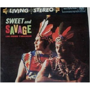 德国dsm针刺视频
