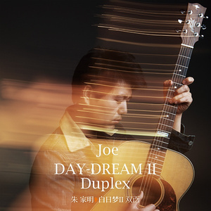 德国dsm针刺视频
