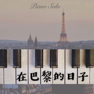 德国dsm针刺视频
