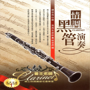 德国dsm针刺视频
